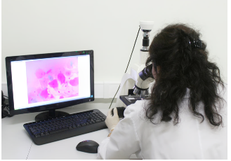 Specular Microscopy